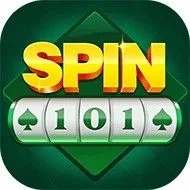 Spin101